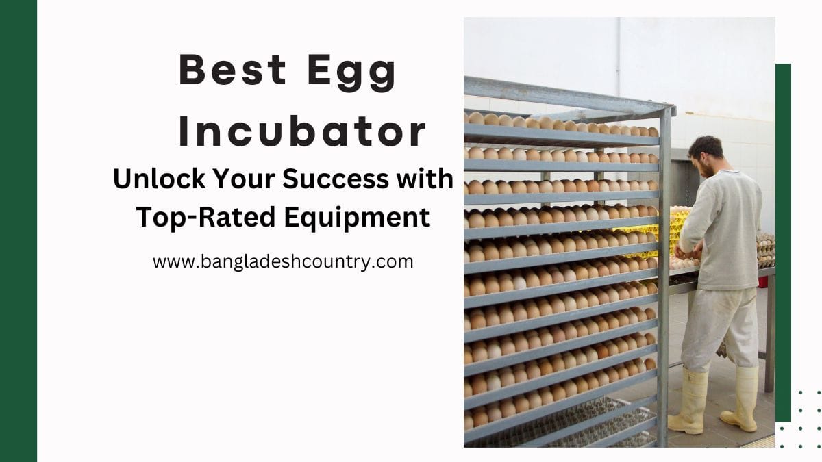 Best Egg Incubator Unlock Your Success with TopRated Equipment