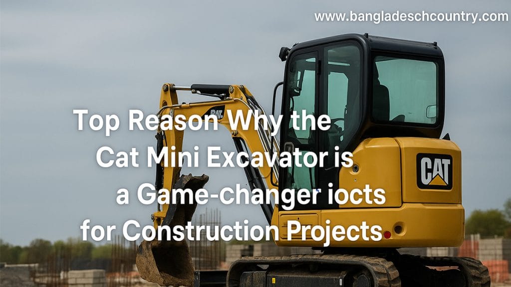 Cat Mini Excavator