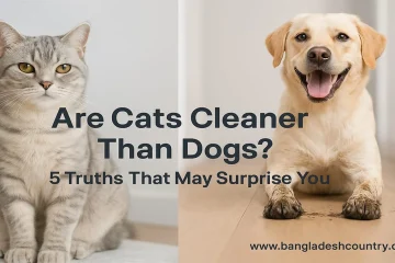 A comparison image split down the middle. On the left is a grey tabby cat with yellow eyes looking directly at the camera. On the right is a smiling golden retriever dog with its tongue out, also looking at the camera. Overlaid text asks: 'Are Cats Cleaner Than Dogs? 5 Truths That May Surprise You' with 'www.bangladeshcountry.com' at the bottom right.