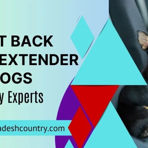 7 Best Back Seat Extender for Dogs