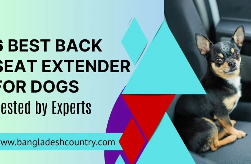 A small black and tan chihuahua dog sits attentively in a car's back seat, next to an overlay with the text '6 BEST BACK SEAT EXTENDER FOR DOGS Tested by Experts' and 'www.bangladeshcountry.com'. The image promotes dog car safety and travel products.