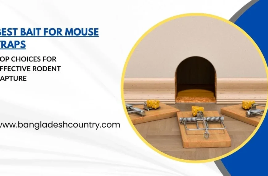 Three wooden mouse traps, each baited with a piece of yellow cheese, are set on a wooden floor near a mouse hole in a light-colored wall. The image features text overlays: 'BEST BAIT FOR MOUSE TRAPS' and 'TOP CHOICES FOR EFFECTIVE RODENT CAPTURE'.