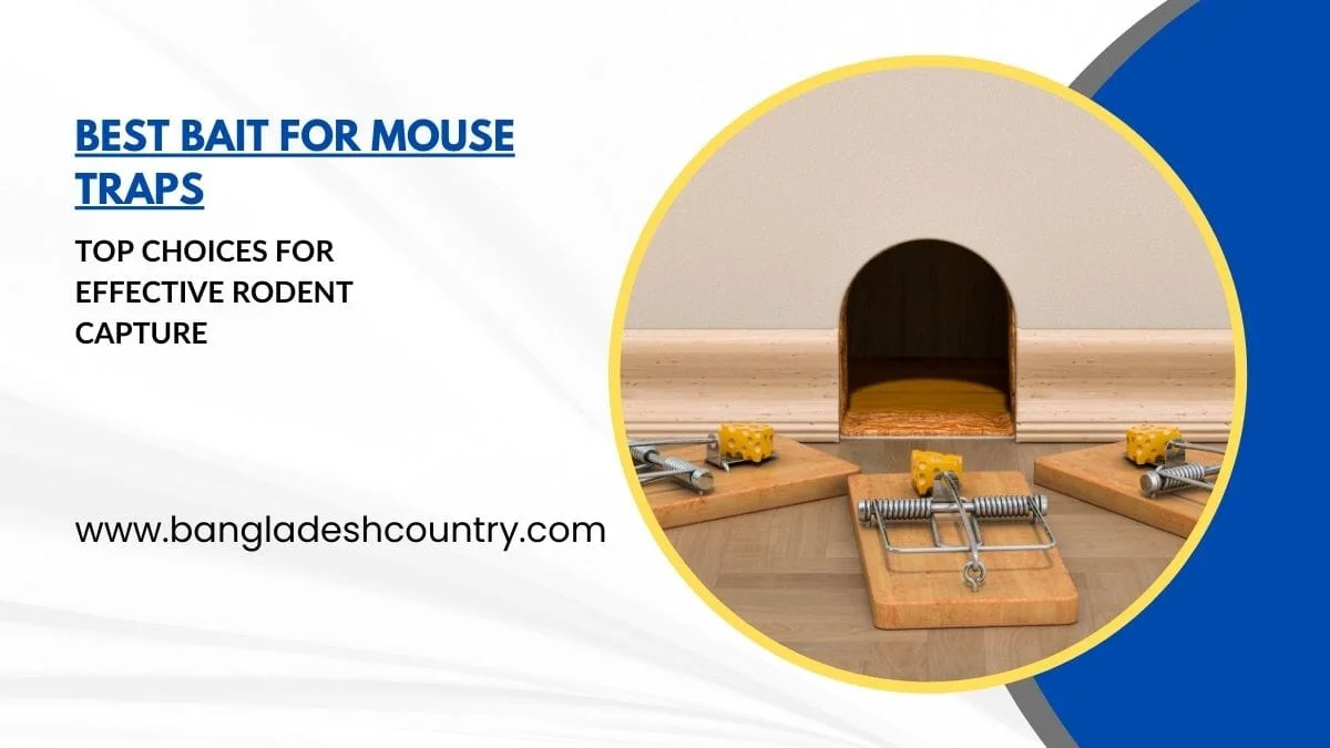 Three wooden mouse traps, each baited with a piece of yellow cheese, are set on a wooden floor near a mouse hole in a light-colored wall. The image features text overlays: 'BEST BAIT FOR MOUSE TRAPS' and 'TOP CHOICES FOR EFFECTIVE RODENT CAPTURE'.