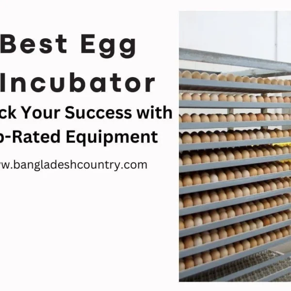 Top 7 Best Egg Incubator Picks for 2026