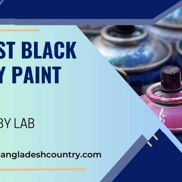 Graphic titled '10 Best Black Spray Paint 2024 Tested by Lab,' featuring a close-up of various colorful, used spray paint cans and the website bangladeshcountry.com.