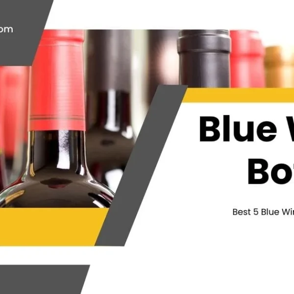 Graphic header featuring various wine bottles with red and gold foil tops, accompanying text that reads 'Blue Wine Bottles' and 'Best 5 Blue Wine Bottles Reviewed' from bangladeshcountry.com.