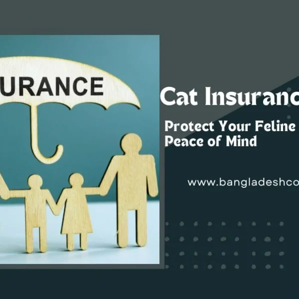 A hand holds a wooden umbrella labeled 'INSURANCE' over wooden cutout figures of a family. Adjacent text reads 'Cat Insurance - Protect Your Feline Friend with Peace of Mind' and 'www.bangladeshcountry.com'.