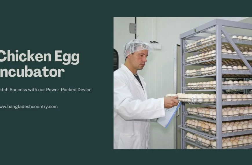 Best Chicken Egg Incubator: 10x Hatch Success