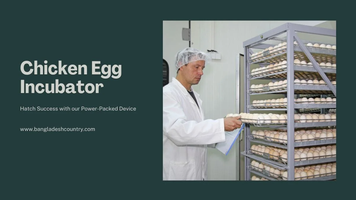 A man in a white lab coat and hairnet carefully loads trays of light brown chicken eggs into a large, multi-shelf industrial chicken egg incubator. The image promotes a powerful device for efficient and successful poultry egg hatching.