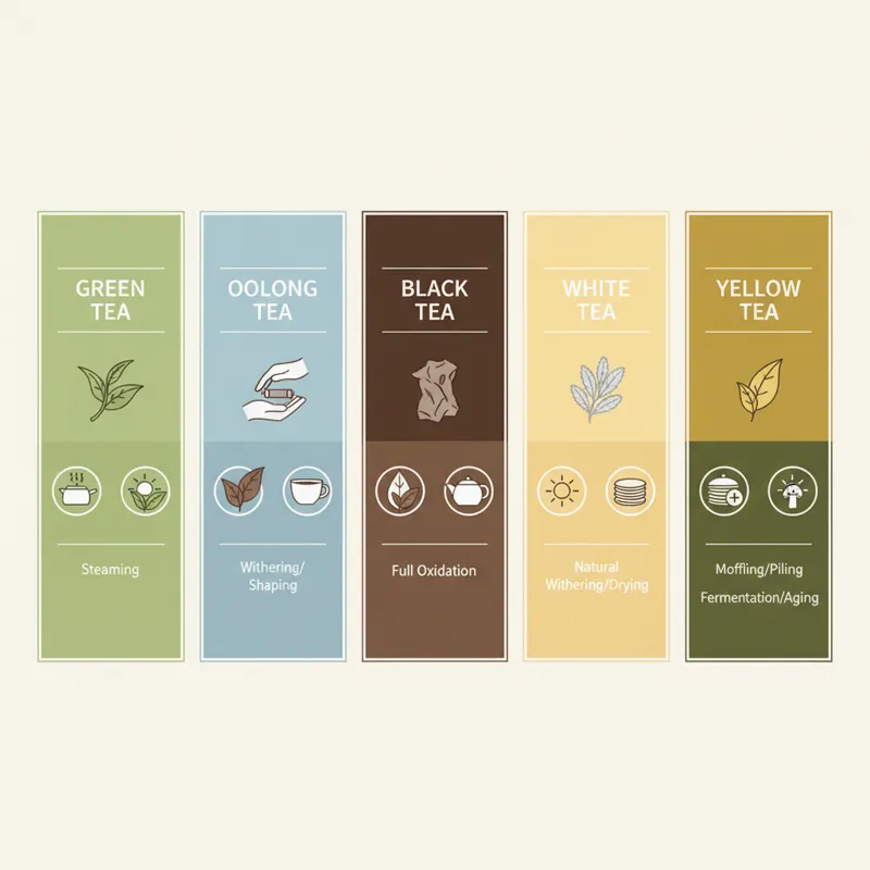 An infographic illustrating the six main types of Chinese tea (Green, Oolong, Black, White, Pu-erh, Yellow) with small icons representing their proces