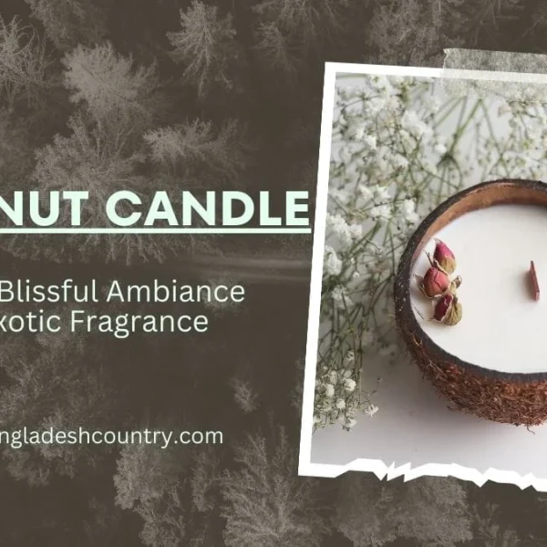 Coconut Candle: 3 Best Ways to Blissful Ambiance