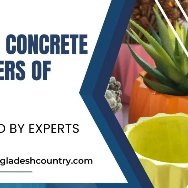 Image for '8 Best Concrete Planters of 2024 Reviewed by Experts' showing various colorful, modern concrete planters, including an orange one with a succulent and an empty yellow one.