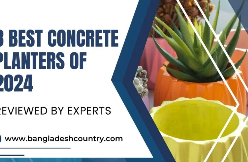 Image for '8 Best Concrete Planters of 2024 Reviewed by Experts' showing various colorful, modern concrete planters, including an orange one with a succulent and an empty yellow one.