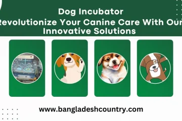 Advertisement for dog incubators and innovative canine care solutions, featuring a medical incubator for puppies alongside illustrations of happy dogs, with the text 'Dog Incubator' and 'Revolutionize Your Canine Care With Our Innovative Solutions'.