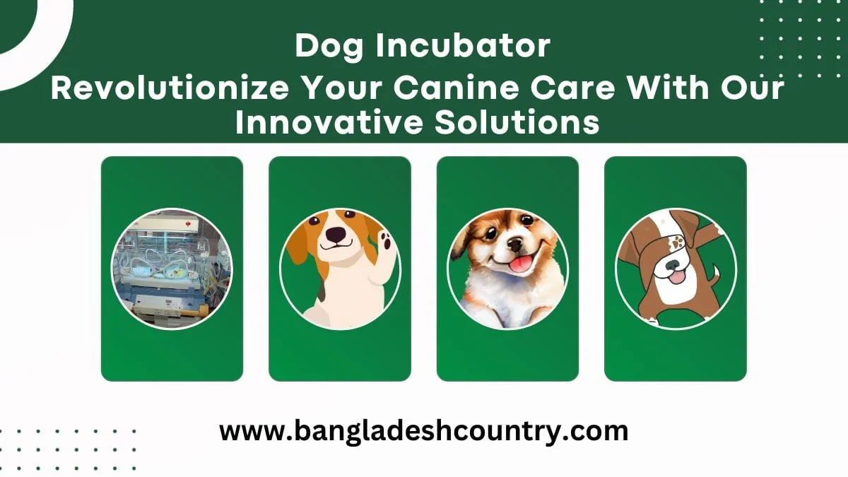 Advertisement for dog incubators and innovative canine care solutions, featuring a medical incubator for puppies alongside illustrations of happy dogs, with the text 'Dog Incubator' and 'Revolutionize Your Canine Care With Our Innovative Solutions'.