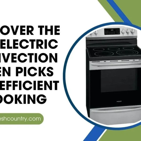 Electric Convection Oven: 7 Best Models