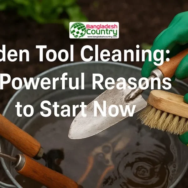 7 Proven Reasons to Clean Your Garden Tool Now