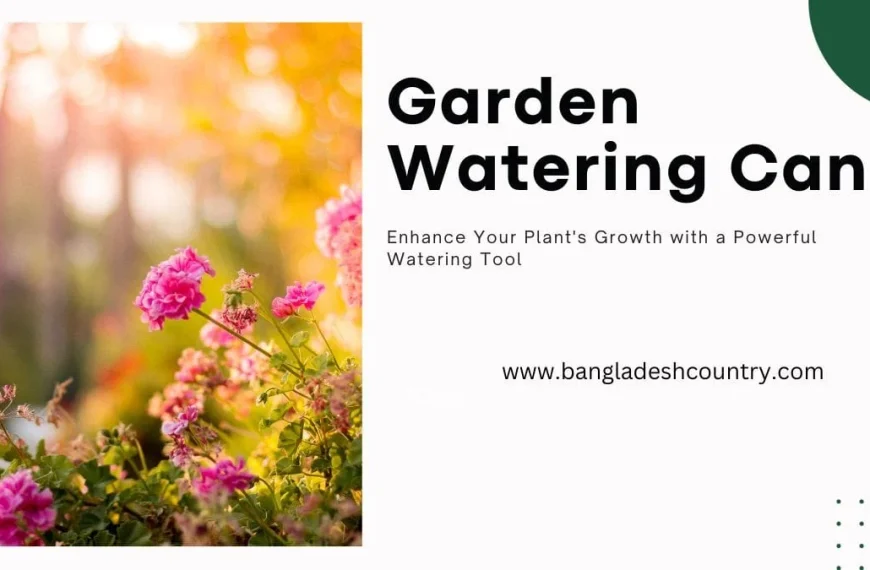 Best Garden Watering Can: 3 Growth Tips