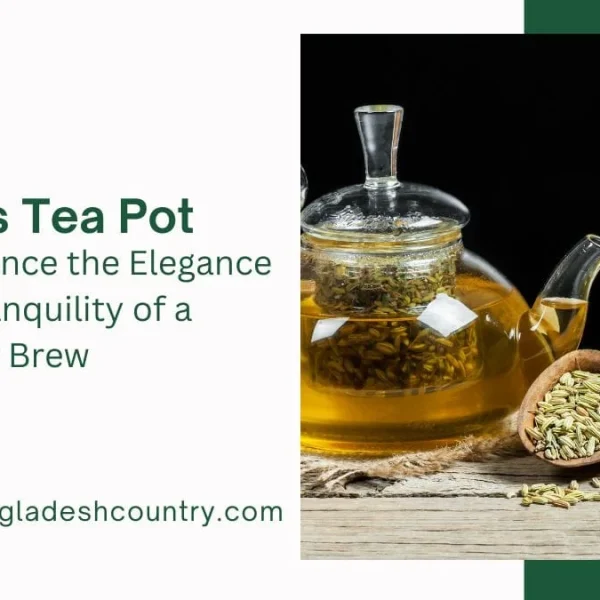 5 Ultimate Glass Tea Pot Models for 2026