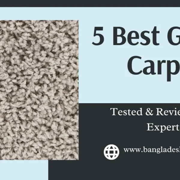 Greige Carpet: 5 Best Picks to Elevate Rooms Instantly