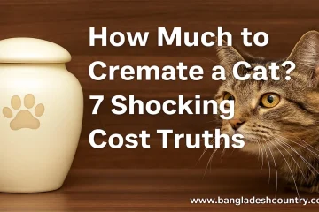 A pet cremation urn with a paw print next to a tabby cat, with text overlay 'How Much to Cremate a Cat? 7 Shocking Cost Truths'.