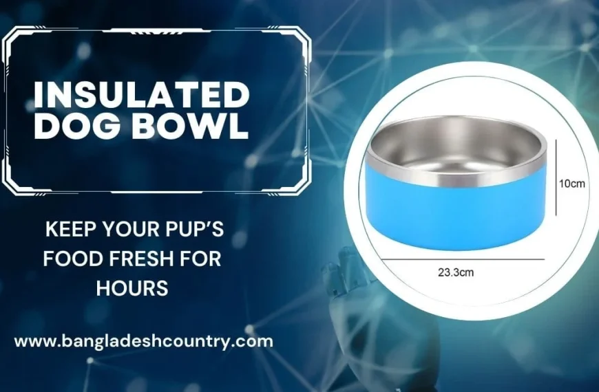 Blue insulated dog bowl with a stainless steel interior, showing dimensions of 10cm height and 23.3cm diameter. Text reads 'Insulated Dog Bowl' and 'Keep your pup's food fresh for hours'.