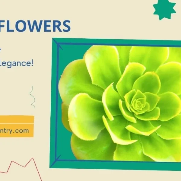 7 Best Irish Flowers: Discover Their Beauty!