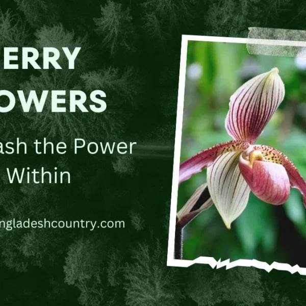Jerry Flowers: Proven 7 Steps to Inner Power