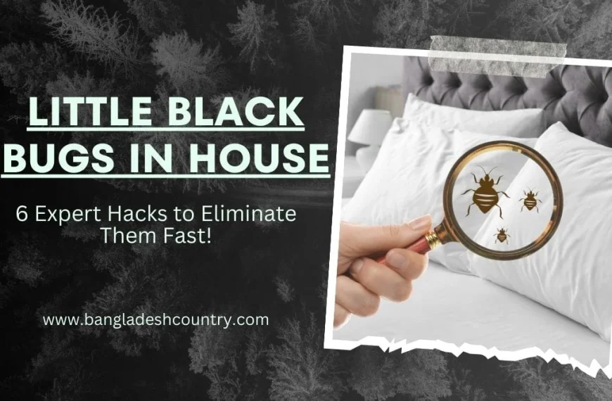 Little Black Bugs in House: 7 Proven Hacks!