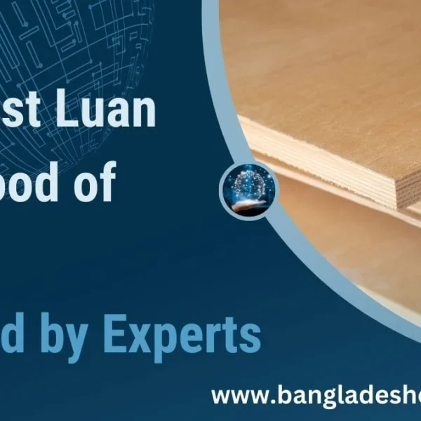 Infographic titled '10 Best Luan Plywood of 2024 Tested by Experts' featuring stacked natural wood luan plywood sheets.