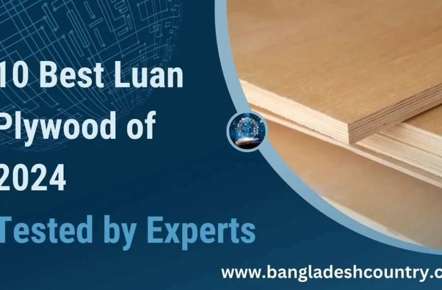 Infographic titled '10 Best Luan Plywood of 2024 Tested by Experts' featuring stacked natural wood luan plywood sheets.