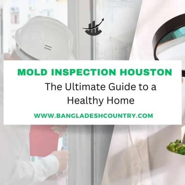 A graphic for 'Mold Inspection Houston' showing an inspector examining a damaged window on the left, and a hand holding a magnifying glass above a miniature house on the right, promoting a guide to a healthy home.