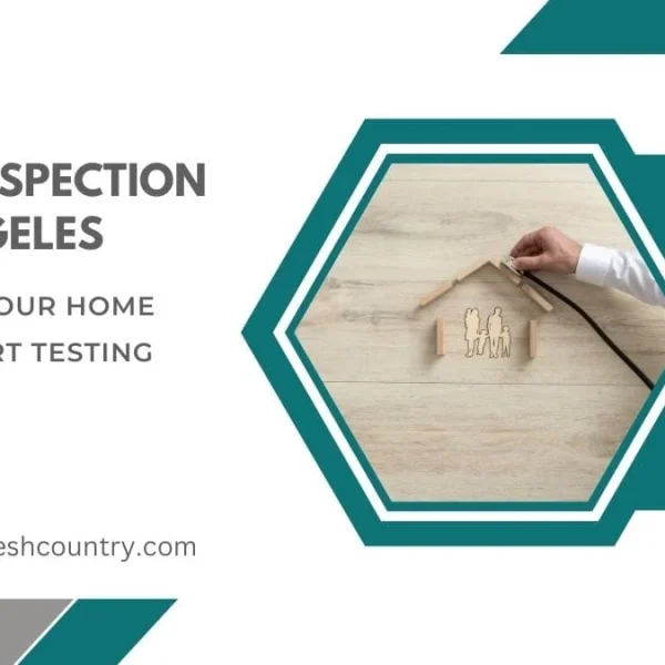 Mold Inspection Los Angeles: 3 Proven Home Defenses