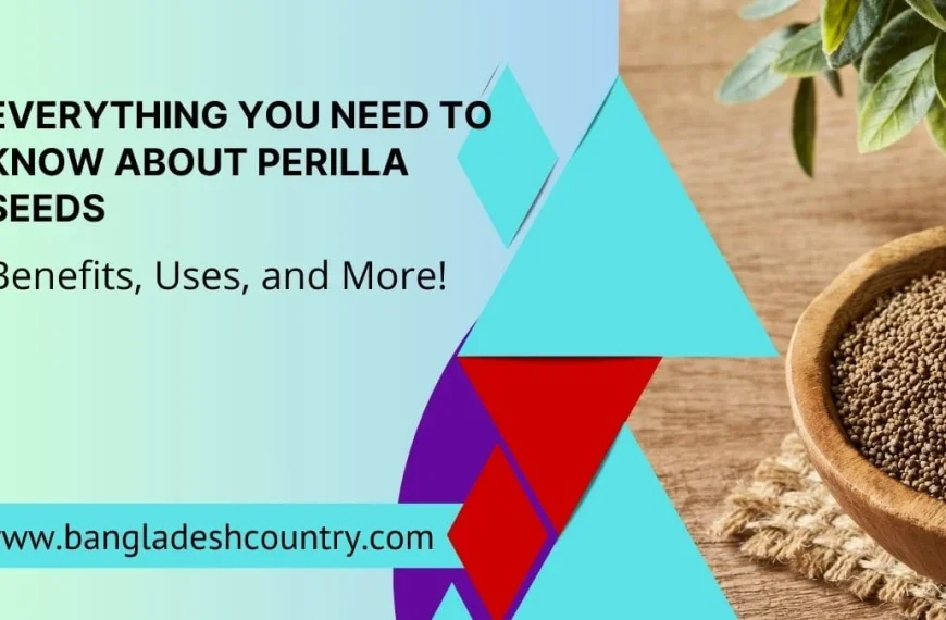 A close-up of Perilla seeds in a wooden bowl on a rustic surface, framed by geometric shapes. Text overlay reads: 'EVERYTHING YOU NEED TO KNOW ABOUT PERILLA SEEDS: Benefits, Uses, and More!' and 'www.bangladeshcountry.com'.