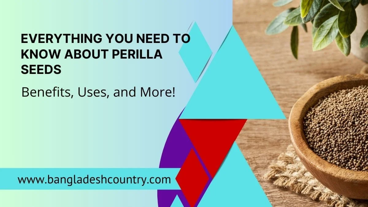 A close-up of Perilla seeds in a wooden bowl on a rustic surface, framed by geometric shapes. Text overlay reads: 'EVERYTHING YOU NEED TO KNOW ABOUT PERILLA SEEDS: Benefits, Uses, and More!' and 'www.bangladeshcountry.com'.