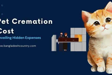 Blog banner with the title 'Pet Cremation Cost: Unveiling Hidden Expenses' featuring a watercolor illustration of an orange tabby kitten on the right and a graphic of a coffin entering a cremation chamber in the center, set against a dark blue background.