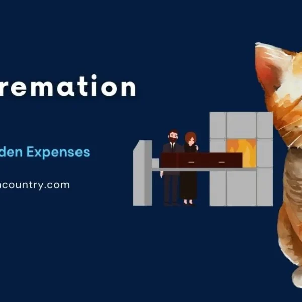 Blog banner with the title 'Pet Cremation Cost: Unveiling Hidden Expenses' featuring a watercolor illustration of an orange tabby kitten on the right and a graphic of a coffin entering a cremation chamber in the center, set against a dark blue background.