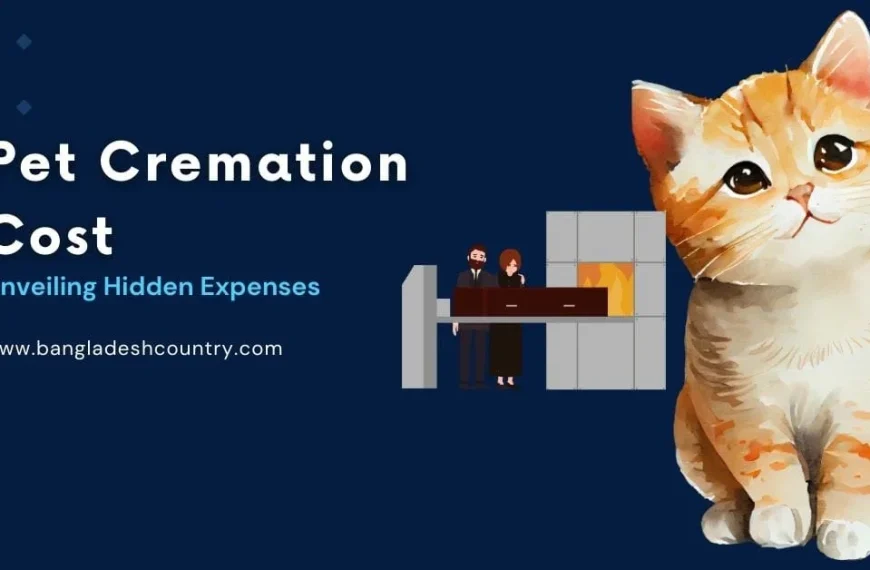 Blog banner with the title 'Pet Cremation Cost: Unveiling Hidden Expenses' featuring a watercolor illustration of an orange tabby kitten on the right and a graphic of a coffin entering a cremation chamber in the center, set against a dark blue background.