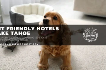 A golden-brown dog, likely a Cocker Spaniel, sits on a light-colored carpet, looking up with its tongue slightly out. A soft gray pet bed is visible in the blurred background. Overlay text reads 'PET FRIENDLY HOTELS LAKE TAHOE' and 'DISCOVER THE BEST LODGING OPTIONS FOR YOUR FURRY FRIEND', along with 'WWW.BANGLADESHCOUNTRY.COM'. A simple graphic of mountains, trees, and a camper van is also present.