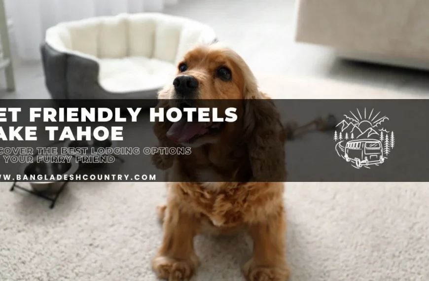 A golden-brown dog, likely a Cocker Spaniel, sits on a light-colored carpet, looking up with its tongue slightly out. A soft gray pet bed is visible in the blurred background. Overlay text reads 'PET FRIENDLY HOTELS LAKE TAHOE' and 'DISCOVER THE BEST LODGING OPTIONS FOR YOUR FURRY FRIEND', along with 'WWW.BANGLADESHCOUNTRY.COM'. A simple graphic of mountains, trees, and a camper van is also present.