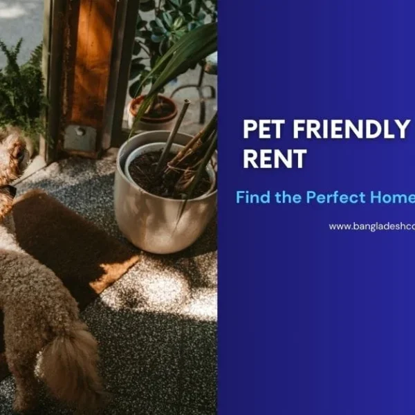 7 Best Tips to Find Pet Friendly Houses for Rent