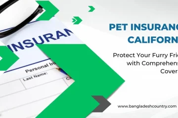 Insurance form with glasses and a pen, promoting Pet Insurance California and comprehensive coverage for furry friends.