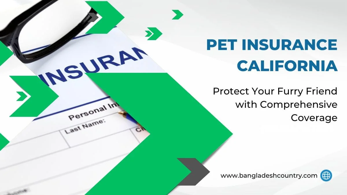 Insurance form with glasses and a pen, promoting Pet Insurance California and comprehensive coverage for furry friends.