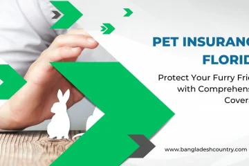 Advertisement for Pet Insurance Florida, showing a human hand gently placed near a white paper cutout of a rabbit on a wooden surface. Green and grey graphic arrows frame the scene. Text overlays read 'Pet Insurance Florida' and 'Protect Your Furry Friend with Comprehensive Coverage'.