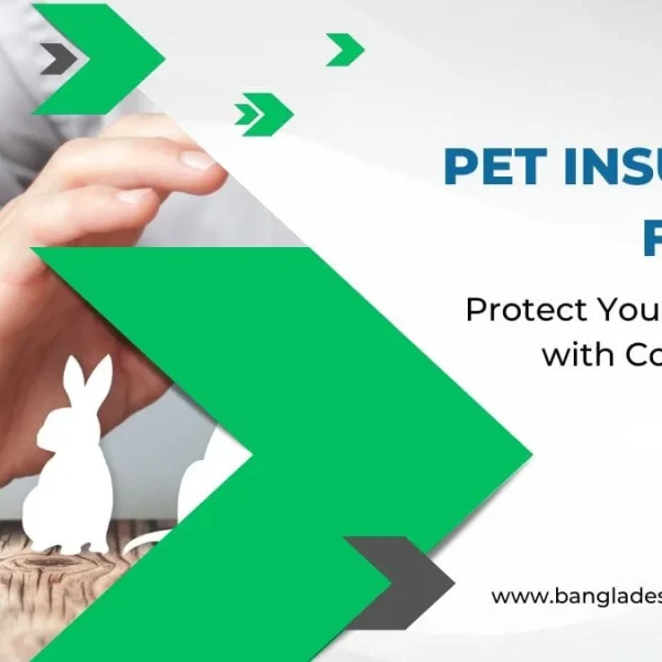 Advertisement for Pet Insurance Florida, showing a human hand gently placed near a white paper cutout of a rabbit on a wooden surface. Green and grey graphic arrows frame the scene. Text overlays read 'Pet Insurance Florida' and 'Protect Your Furry Friend with Comprehensive Coverage'.