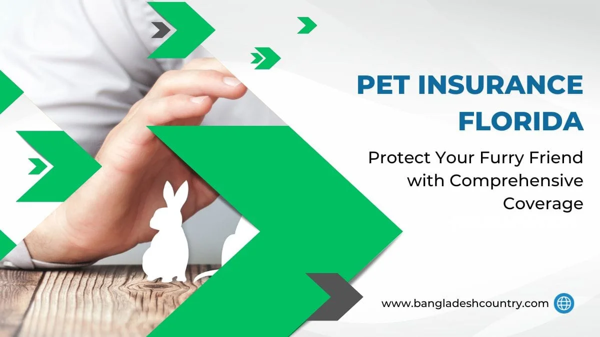 Advertisement for Pet Insurance Florida, showing a human hand gently placed near a white paper cutout of a rabbit on a wooden surface. Green and grey graphic arrows frame the scene. Text overlays read 'Pet Insurance Florida' and 'Protect Your Furry Friend with Comprehensive Coverage'.