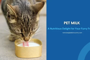 Close-up of a tabby cat lapping milk from a small gold tin alongside a blue graphic with text reading 'Pet Milk: A Nutritious Delight for Your Furry Friend' and the website bangladeshcountry.com.