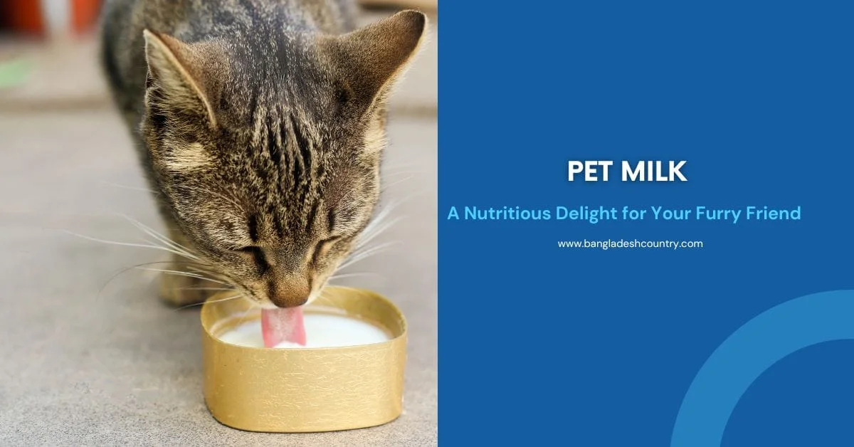 Close-up of a tabby cat lapping milk from a small gold tin alongside a blue graphic with text reading 'Pet Milk: A Nutritious Delight for Your Furry Friend' and the website bangladeshcountry.com.