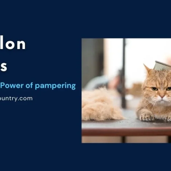 A graphic titled 'Pet Salon Secrets' featuring a golden-brown cat being professionally groomed by a human hand with a comb, a pile of removed fur visible on the table. The text on the left also includes 'Unleashing the Power of pampering' and 'www.bangladeshcountry.com'.