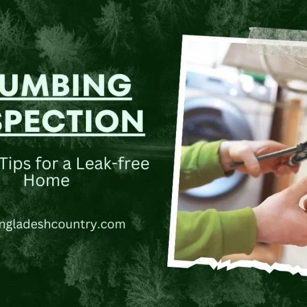 Best Plumbing Inspection: 5 Tips for a Leak-free Home
